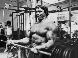 Muscle Building Happens in the Gym