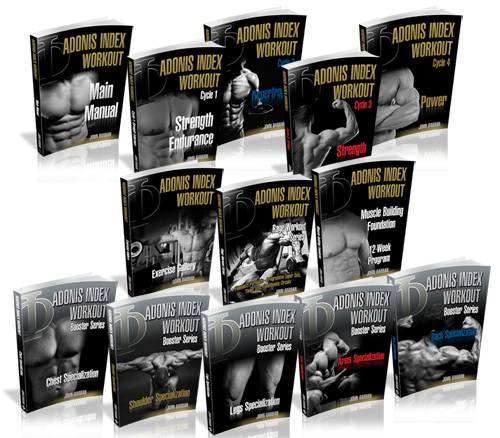 Adonis Index Workout System