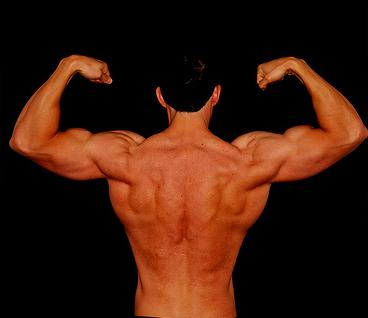 John Barban Back